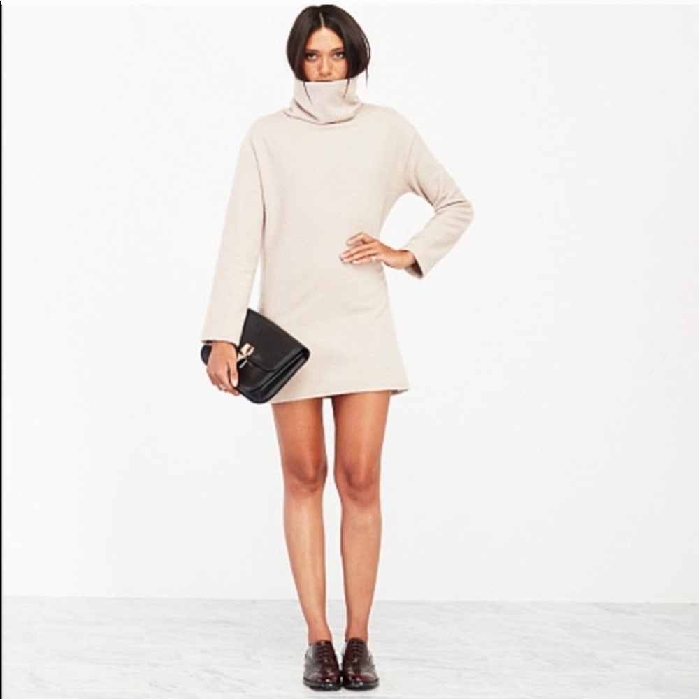 Reformation Turtleneck Greenland Dress